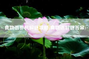 食物语参机解谜攻略(食物语解谜答案)