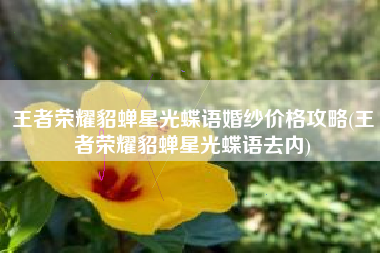 王者荣耀貂蝉星光蝶语婚纱价格攻略(王者荣耀貂蝉星光蝶语去内)