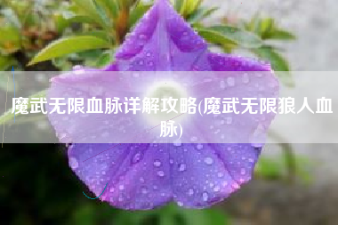 魔武无限血脉详解攻略(魔武无限狼人血脉)