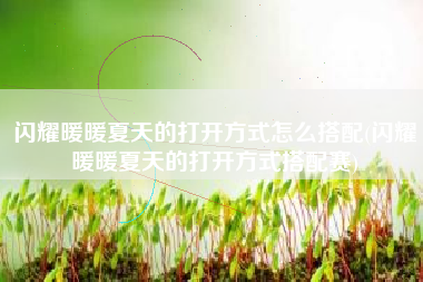 闪耀暖暖夏天的打开方式怎么搭配(闪耀暖暖夏天的打开方式搭配赛)