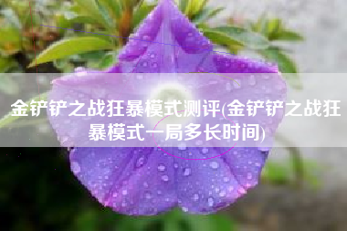 金铲铲之战狂暴模式测评(金铲铲之战狂暴模式一局多长时间)