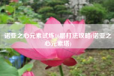 诺亚之心元素试炼16层打法攻略(诺亚之心元素塔)