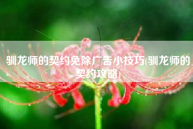 驯龙师的契约免除广告小技巧(驯龙师的契约攻略)
