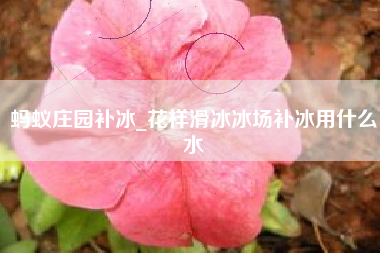 蚂蚁庄园补冰_花样滑冰冰场补冰用什么水