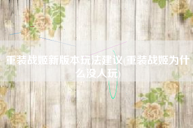 重装战姬新版本玩法建议(重装战姬为什么没人玩)