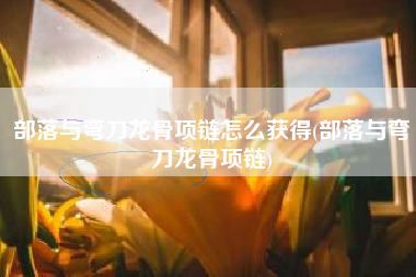 部落与弯刀龙骨项链怎么获得(部落与弯刀龙骨项链)