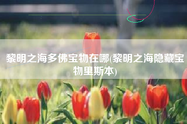 黎明之海多佛宝物在哪(黎明之海隐藏宝物里斯本)