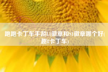 跑跑卡丁车手游L1徽章和S1徽章哪个好(趣8卡丁车)