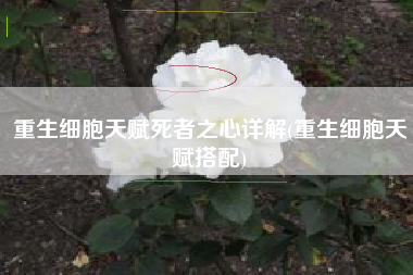 重生细胞天赋死者之心详解(重生细胞天赋搭配)