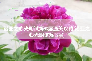 诺亚之心光明试炼95层通关攻略(诺亚之心光明试炼75层)