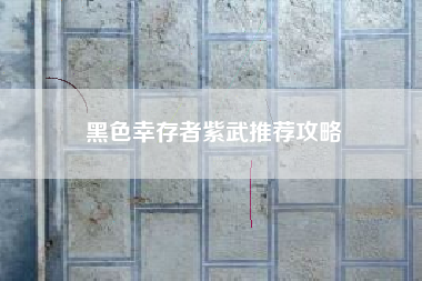 黑色幸存者紫武推荐攻略