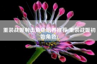 重装战姬射击角色培养推荐(重装战姬初始角色)