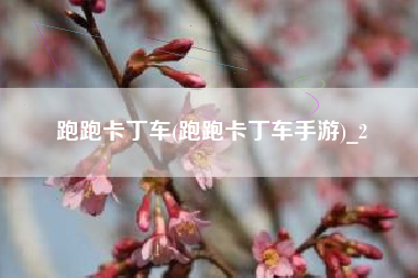 跑跑卡丁车(跑跑卡丁车手游)_2