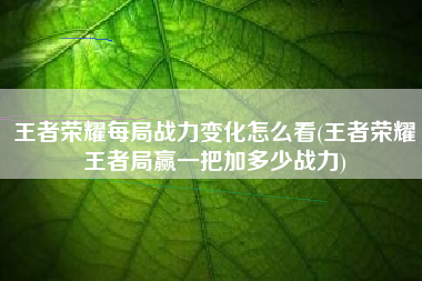 王者荣耀每局战力变化怎么看(王者荣耀王者局赢一把加多少战力)