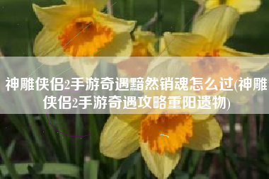 神雕侠侣2手游奇遇黯然销魂怎么过(神雕侠侣2手游奇遇攻略重阳遗物)