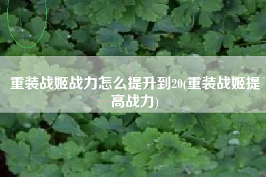 重装战姬战力怎么提升到20(重装战姬提高战力)