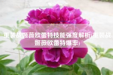 重装战姬薇欧蕾特技能强度解析(重装战姬薇欧蕾特爆率)
