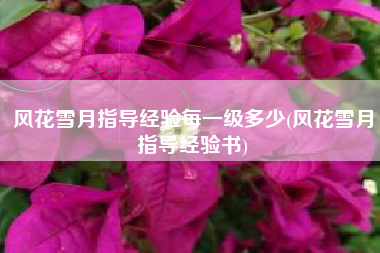 风花雪月指导经验每一级多少(风花雪月指导经验书)