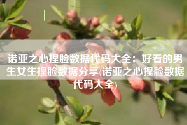 诺亚之心捏脸数据代码大全：好看的男生女生捏脸数据分享(诺亚之心捏脸数据代码大全)