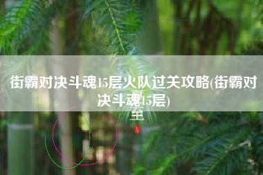 街霸对决斗魂15层火队过关攻略(街霸对决斗魂15层)