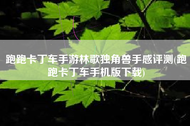 跑跑卡丁车手游林歌独角兽手感评测(跑跑卡丁车手机版下载)
