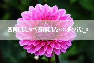 赛博朋克2077(赛博朋克2077多少钱)_5