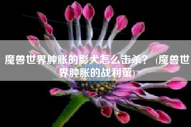 魔兽世界肿胀的影犬怎么击杀？ (魔兽世界肿胀的战利萤)