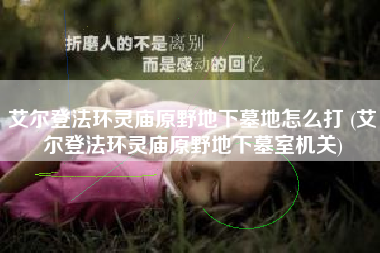 艾尔登法环灵庙原野地下墓地怎么打 (艾尔登法环灵庙原野地下墓室机关)