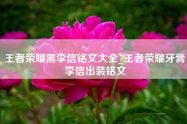 王者荣耀黑李信铭文大全_王者荣耀牙膏李信出装铭文
