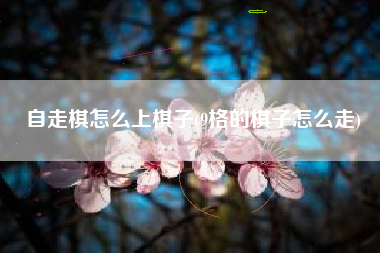自走棋怎么上棋子(9格的棋子怎么走)