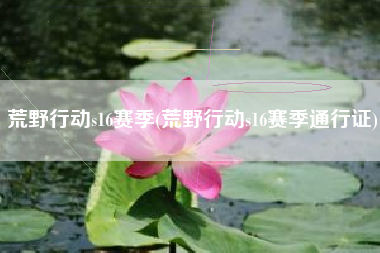 荒野行动s16赛季(荒野行动s16赛季通行证)