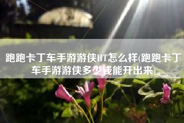 跑跑卡丁车手游游侠HT怎么样(跑跑卡丁车手游游侠多少钱能开出来)