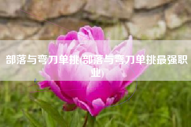 部落与弯刀单挑(部落与弯刀单挑最强职业)
