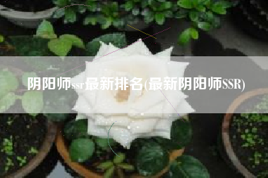 阴阳师ssr最新排名(最新阴阳师SSR)