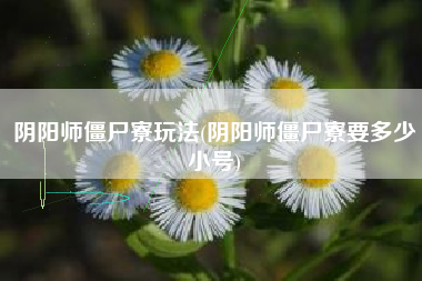阴阳师僵尸寮玩法(阴阳师僵尸寮要多少小号)
