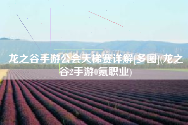 龙之谷手游公会天梯赛详解[多图](龙之谷2手游0氪职业)