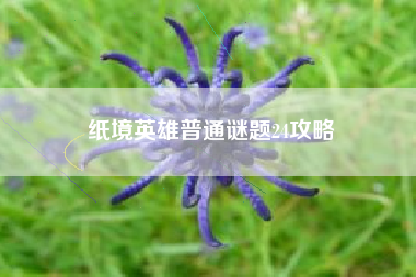 纸境英雄普通谜题24攻略