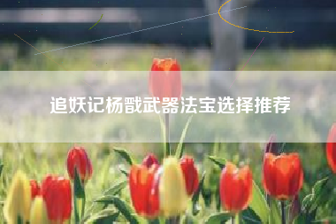 追妖记杨戬武器法宝选择推荐