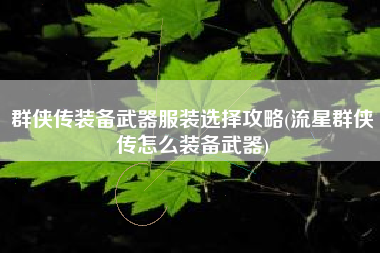 群侠传装备武器服装选择攻略(流星群侠传怎么装备武器)