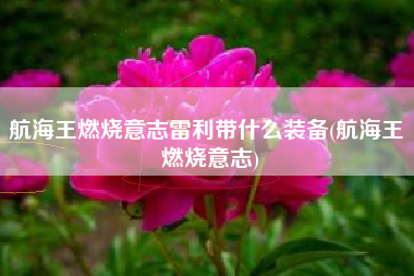 航海王燃烧意志雷利带什么装备(航海王 燃烧意志)