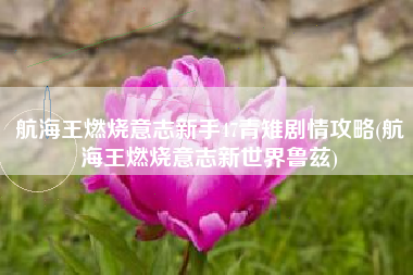 航海王燃烧意志新手47青雉剧情攻略(航海王燃烧意志新世界鲁兹)