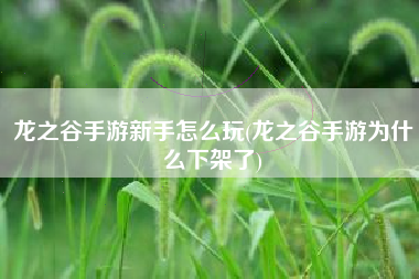 龙之谷手游新手怎么玩(龙之谷手游为什么下架了)