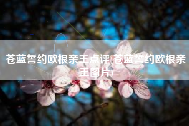 苍蓝誓约欧根亲王点评(苍蓝誓约欧根亲王图片)