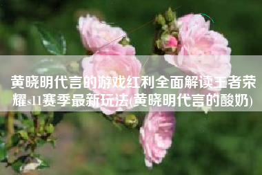 黄晓明代言的游戏红利全面解读王者荣耀s11赛季最新玩法(黄晓明代言的酸奶)