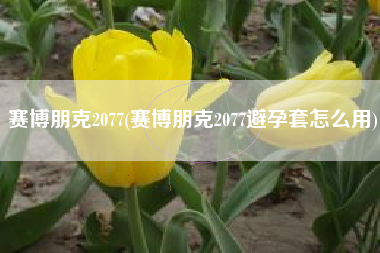 赛博朋克2077(赛博朋克2077避孕套怎么用)