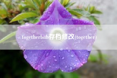 togetherbnb存档修改(together)