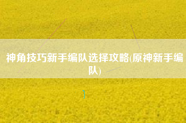 神角技巧新手编队选择攻略(原神新手编队)