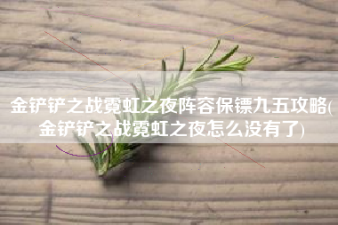金铲铲之战霓虹之夜阵容保镖九五攻略(金铲铲之战霓虹之夜怎么没有了)