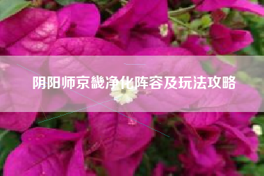 阴阳师京畿净化阵容及玩法攻略