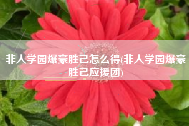 非人学园爆豪胜己怎么得(非人学园爆豪胜己应援团)